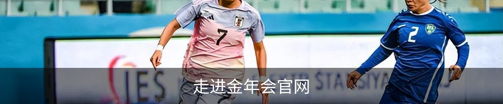 走进金年会官网